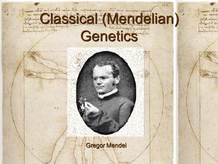 Classical (Mendelian) Genetics Gregor Mendel. Vocabulary Genetics: The scientific study of heredityGenetics: The scientific study of heredity Allele: