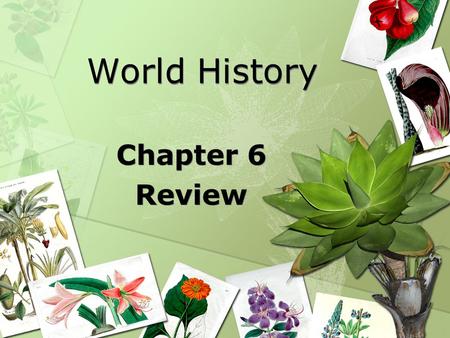 World History Chapter 6 Review.