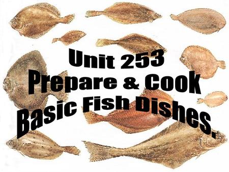 Unit 253 Prepare & Cook Basic Fish Dishes..