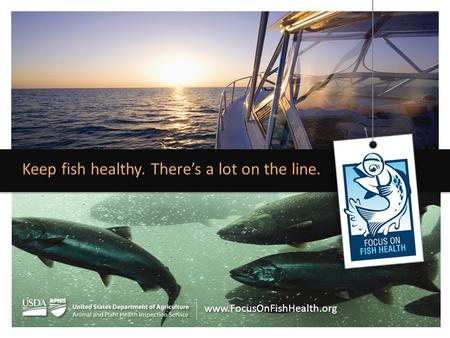 Keep fish healthy. There’s a lot on the line. www.FocusOnFishHealth.org.