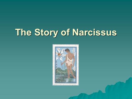 The Story of Narcissus. What is the Story About? This story is about an extremely handsome young man and a beautiful nymph and the tragedy that befell.