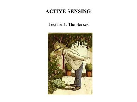 ACTIVE SENSING Lecture 1: The Senses. The senses: