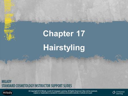 Chapter 17 Hairstyling.
