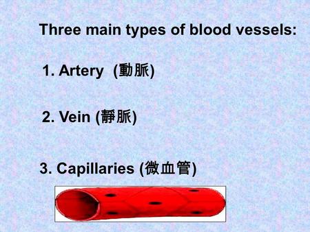 Three main types of blood vessels: