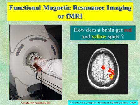 Functional Magnetic Resonance Imaging or fMRI How does a brain get red and yellow spots ?  Center for Complex Systems and Brain Sciences, 2000 Created.