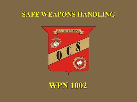 SAFE WEAPONS HANDLING WPN 1002. Weapons conditions and safety rules Reloads Weapon Commands Weapon Carries Weapon Transports Weapon Transfers Indicators.
