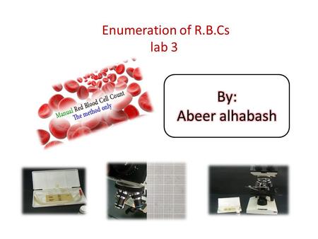 Enumeration of R.B.Cs lab 3. Prepared by Abeer Alhabash.