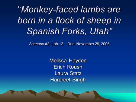 “Monkey-faced lambs are born in a flock of sheep in Spanish Forks, Utah” Scenario #2 Lab 12 Due: November 29, 2006 Melissa Hayden Erich Roush Laura Statz.