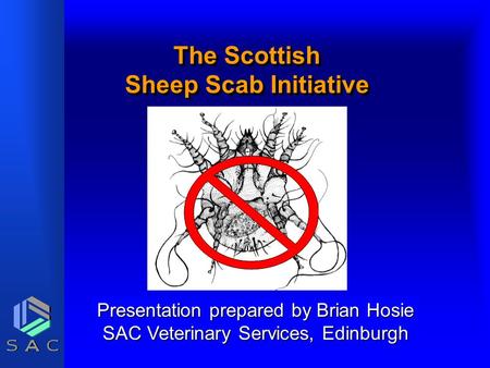 The Scottish Sheep Scab Initiative Presentation prepared by Brian Hosie SAC Veterinary Services, Edinburgh.