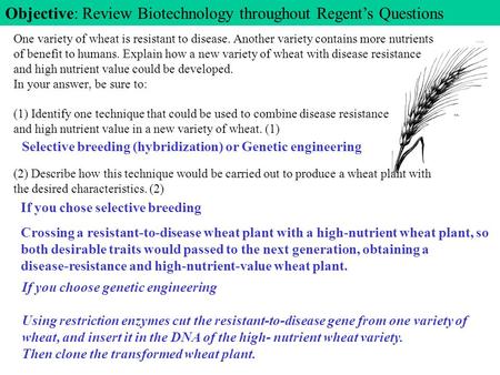 Objective: Review Biotechnology throughout Regent’s Questions