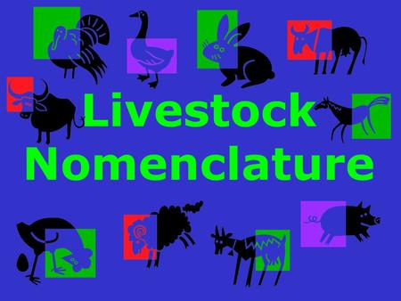 Livestock Nomenclature. Nomenclature A system of names in a science.