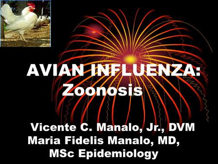 AVIAN INFLUENZA: Zoonosis Vicente C. Manalo, Jr., DVM Maria Fidelis Manalo, MD, MSc Epidemiology.