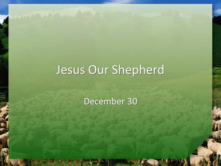 Jesus Our Shepherd December 30. Quiz Time … What are some facts you know about sheep? These facts suggest that sheep need a shepherd. These facts suggest.