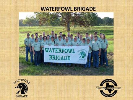 WATERFOWL BRIGADE. Flock Composition Flock Leader Assistant Flock Leader Cadets.