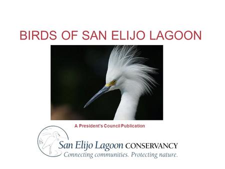 BIRDS OF SAN ELIJO LAGOON A President’s Council Publication.