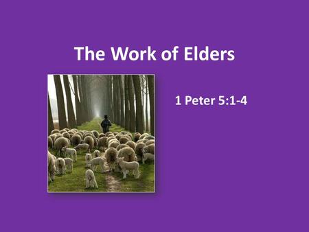 The Work of Elders 1 Peter 5:1-4. Scriptural Designations For Elders.