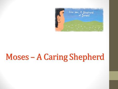 Moses – A Caring Shepherd. The Duties of a Shepherd The shepherd is to feed the flock according to the integrity of his heart, searching out green pastures.