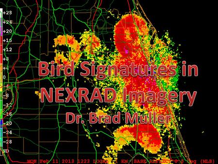 Birds often show up early in the morning in NEXRAD as “roost rings.”