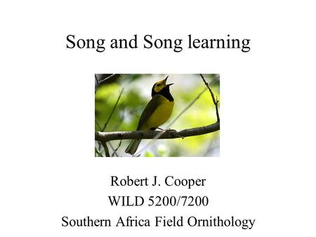 Song and Song learning Robert J. Cooper WILD 5200/7200 Southern Africa Field Ornithology.