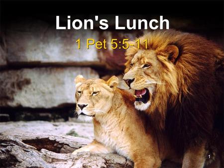 Lion's Lunch 1 Pet 5:5-11 1 1. Illustration Of The Lion Often the lion is called the “King of the beasts” and for good reason –They are the largest –They.