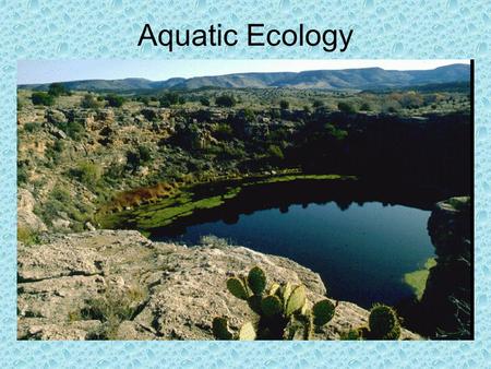 Aquatic Ecology. How much water is there on Earth?