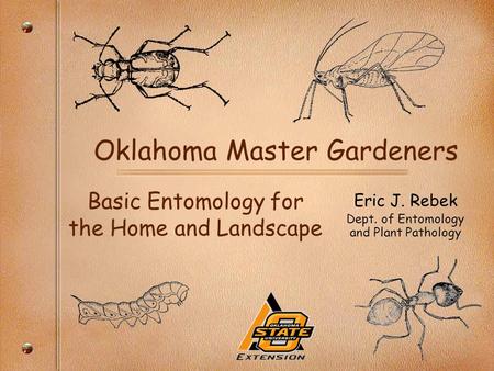 Oklahoma Master Gardeners Basic Entomology for the Home and Landscape Eric J. Rebek Dept. of Entomology and Plant Pathology.