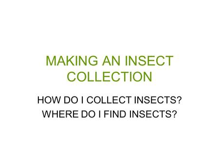 MAKING AN INSECT COLLECTION HOW DO I COLLECT INSECTS? WHERE DO I FIND INSECTS?