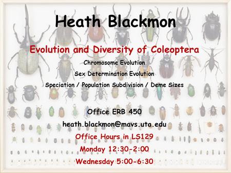 Heath Blackmon Evolution and Diversity of Coleoptera Chromosome Evolution Sex Determination Evolution Speciation / Population Subdivision / Deme Sizes.