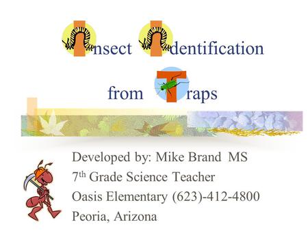 Nsect dentification from raps Developed by: Mike Brand MS 7 th Grade Science Teacher Oasis Elementary (623)-412-4800 Peoria, Arizona.