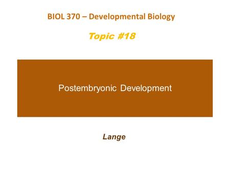 Postembryonic Development Lange BIOL 370 – Developmental Biology Topic #18.