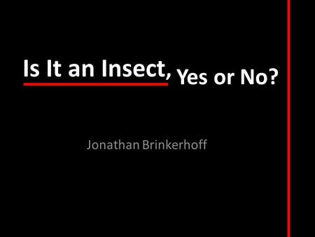 Is It an Insect, Jonathan Brinkerhoff Yes or No?.