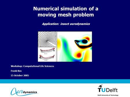 Vermelding onderdeel organisatie 15 October 2005 Numerical simulation of a moving mesh problem Application: insect aerodynamics Workshop: Computational.
