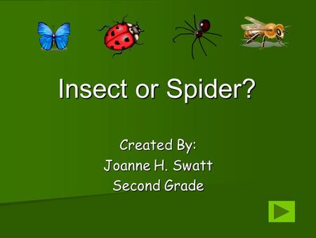 Insect or Spider? Insect or Spider? Created By: Joanne H. Swatt Second Grade.