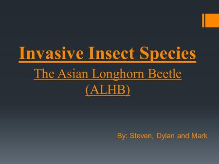Invasive Insect Species The Asian Longhorn Beetle (ALHB) By: Steven, Dylan and Mark.