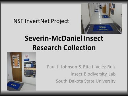 Severin-McDaniel Insect Research Collection Paul J. Johnson & Rita I. Veléz Ruiz Insect Biodiversity Lab South Dakota State University NSF InvertNet Project.
