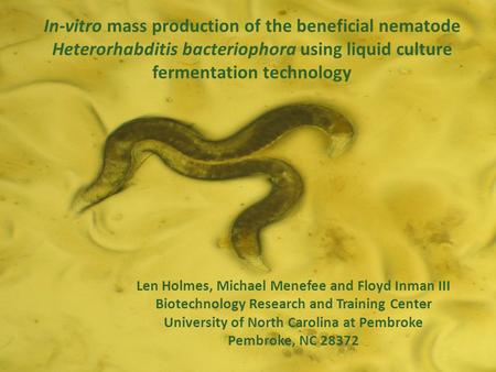 In-vitro mass production of the beneficial nematode Heterorhabditis bacteriophora using liquid culture fermentation technology Len Holmes, Michael Menefee.