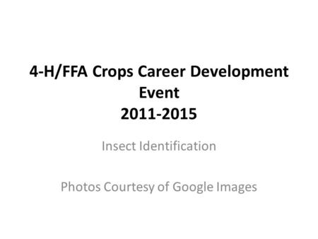 4-H/FFA Crops Career Development Event 2011-2015 Insect Identification Photos Courtesy of Google Images.