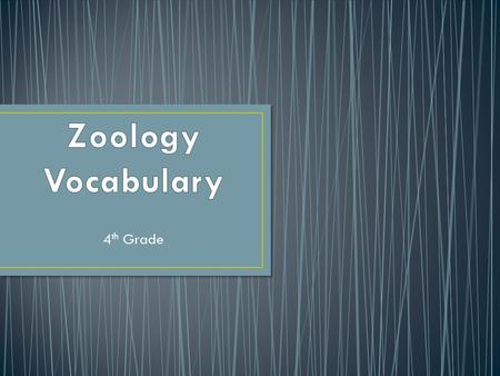 4 th Grade. The study of animals An animal that has a vertebral column or backbone.