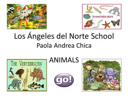 Los Ángeles del Norte School Paola Andrea Chica