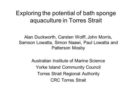 Exploring the potential of bath sponge aquaculture in Torres Strait Alan Duckworth, Carsten Wolff, John Morris, Samson Lowatta, Simon Naawi, Paul Lowatta.