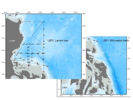 LB01, Lamon bay LB01, Bifurcation track