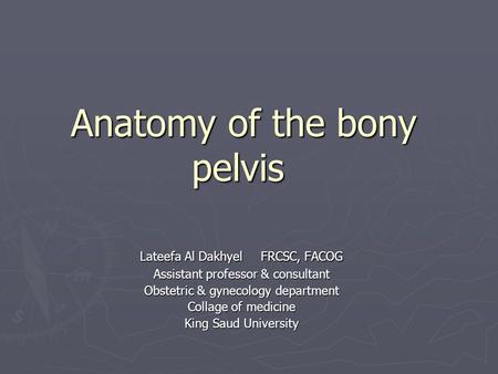 Anatomy of the bony pelvis