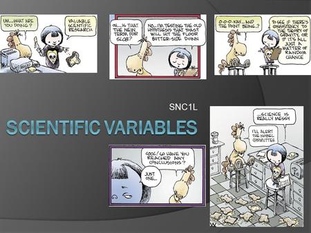 SNC1L Scientific variables.