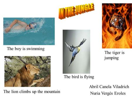 The lion climbs up the mountain The boy is swimming The tiger is jumping The bird is flying Abril Canela Viladrich Nuria Vergés Eroles.