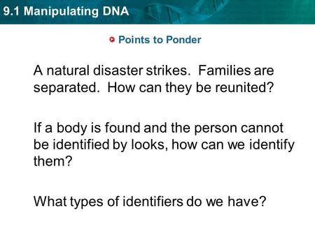 What types of identifiers do we have?