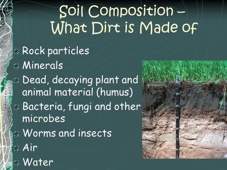 Soil Composition – What Dirt is Made of