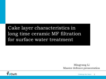 1 Challenge the future Cake layer characteristics in long time ceramic MF filtration for surface water treatment Mingyang Li Master defence presentation.