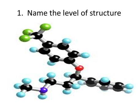 1. Name the level of structure. 2. The entire object below represents which level of structure?