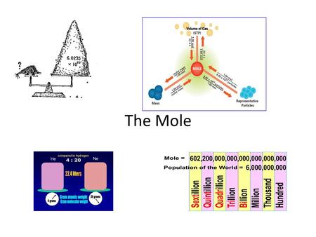 The Mole.