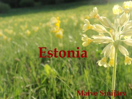 Estonia Maive Sinijärv. About Estonia Estonia is the northernmost Baltic State and with a population of only one point four million, it is also the smallest.